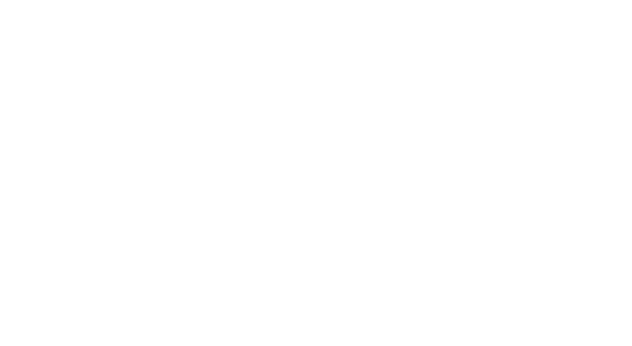 Logo Campanion christian strasser w